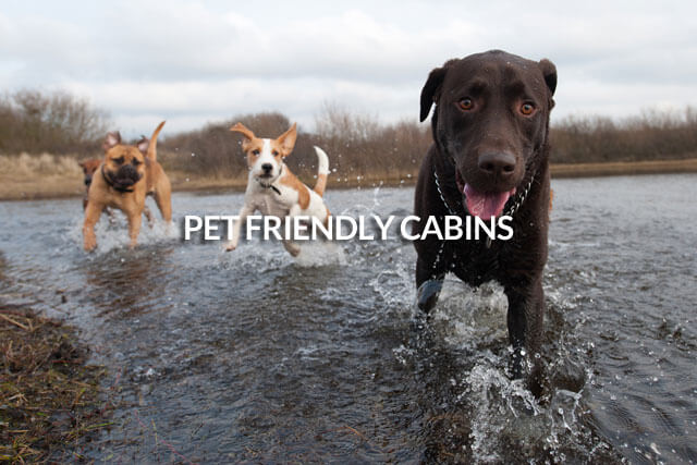 Pet Friendly Cabins